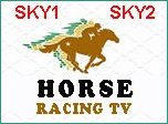 Horse Racing TV